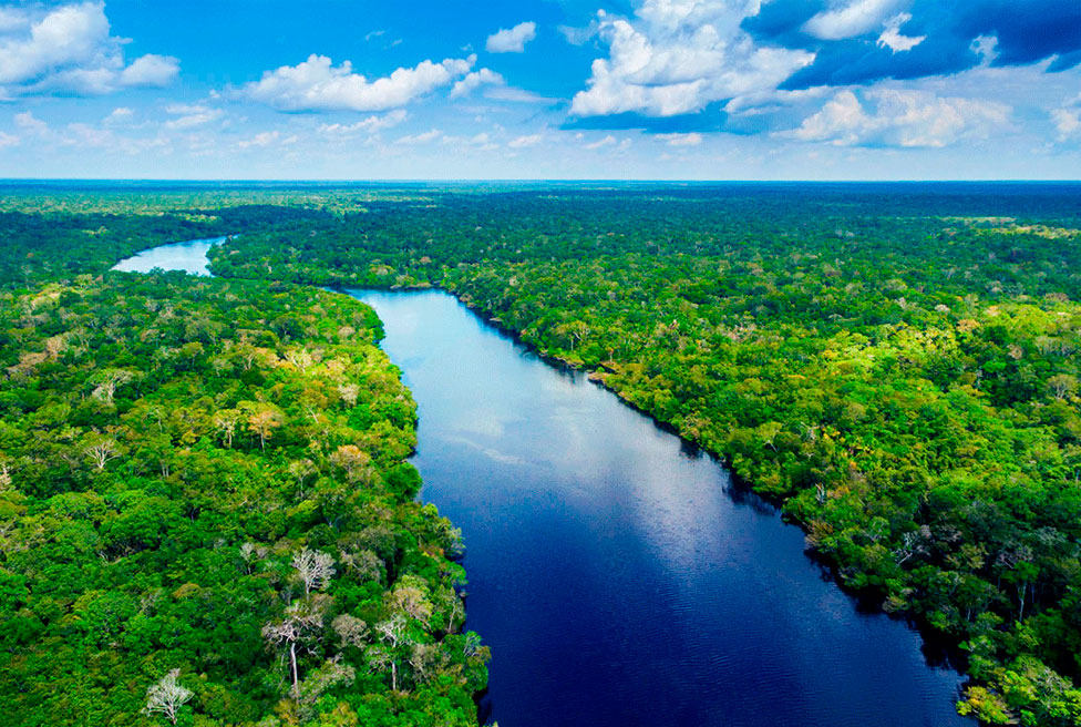 Dia da Amazônia: Reflexões sobre este grande tesouro natural da humanidade