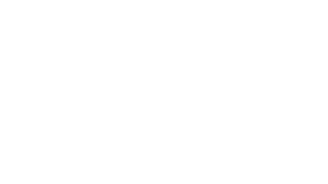 lanxesss.webp